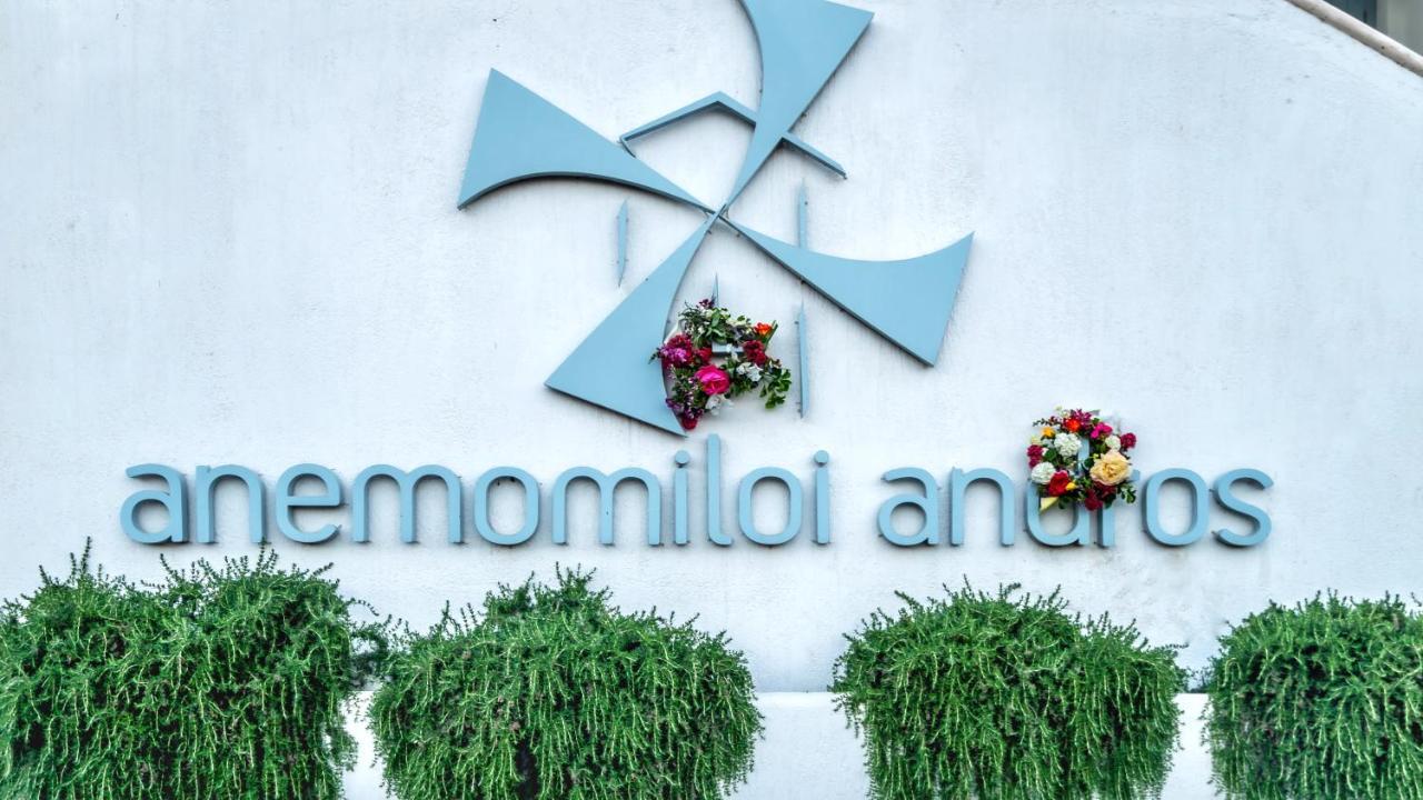 Anemomiloi Andros Hotel Екстериор снимка